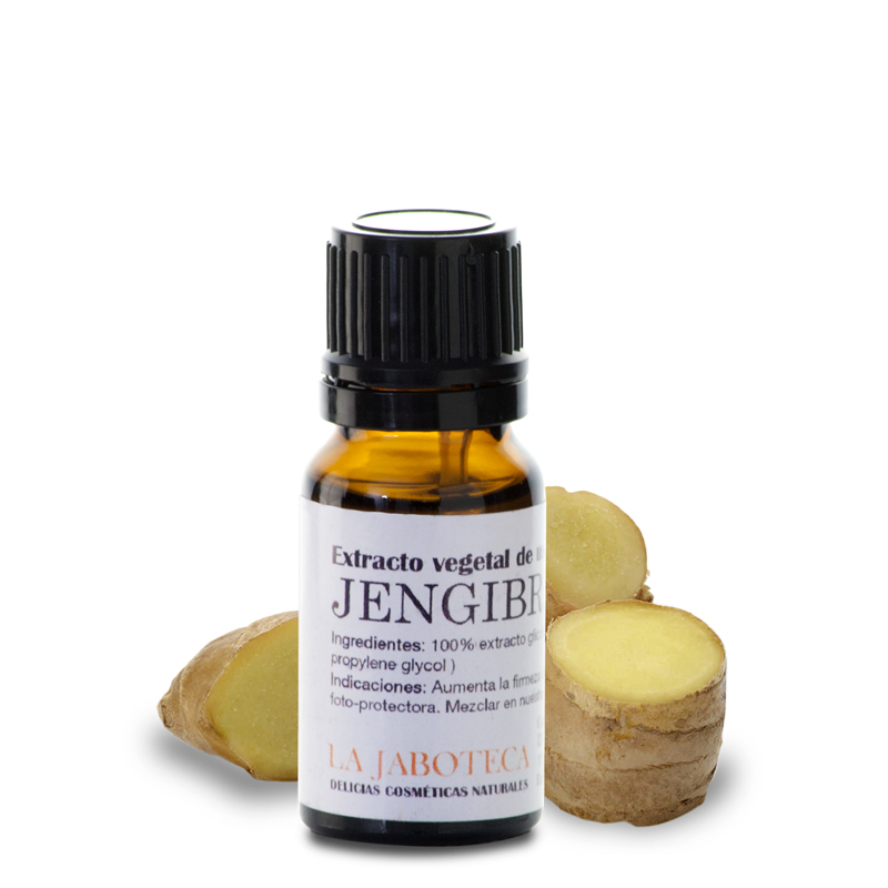 Extracto vegetal de jengibre propiedades