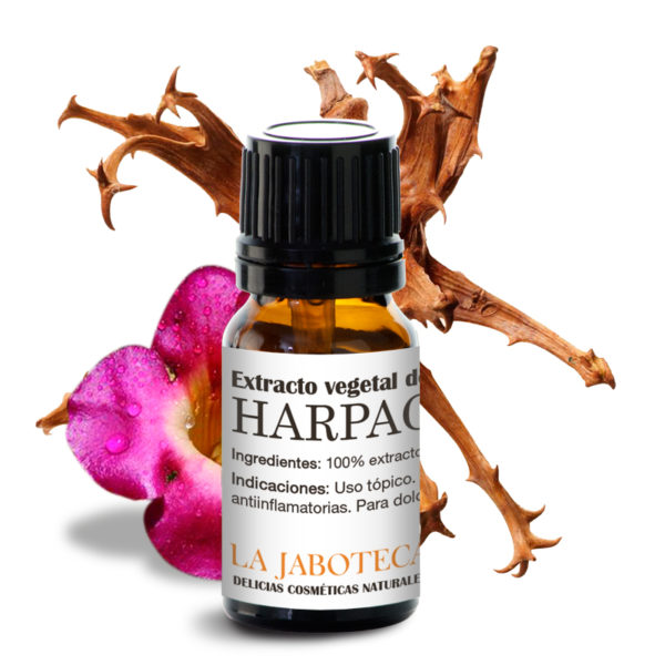 Extracto vegetal de harpagofito beneficios