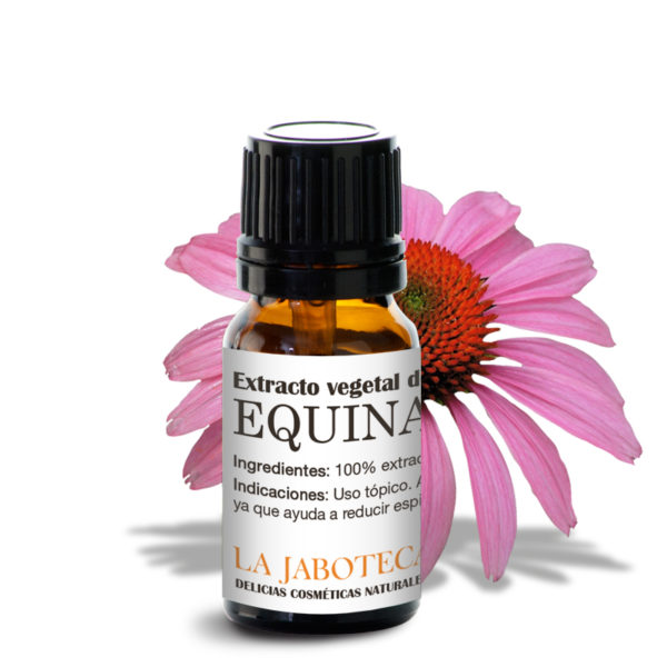 Extracto vegetal de equinacea