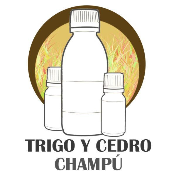 TRIGO y CEDRO CHAMPU