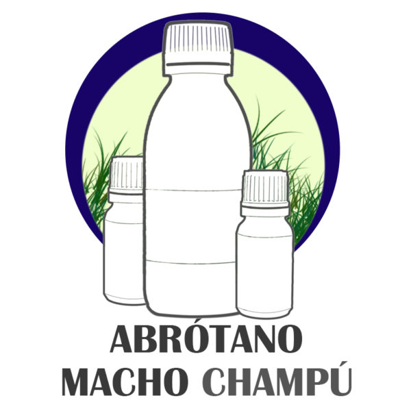 ABROTANO MACHO CHAMPU